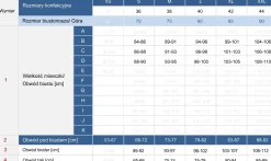Kostium kąpielowy jednoczęściowy F232/859S blue
