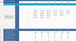 Tankini kąpielowe na duży biust F38/902 komplet